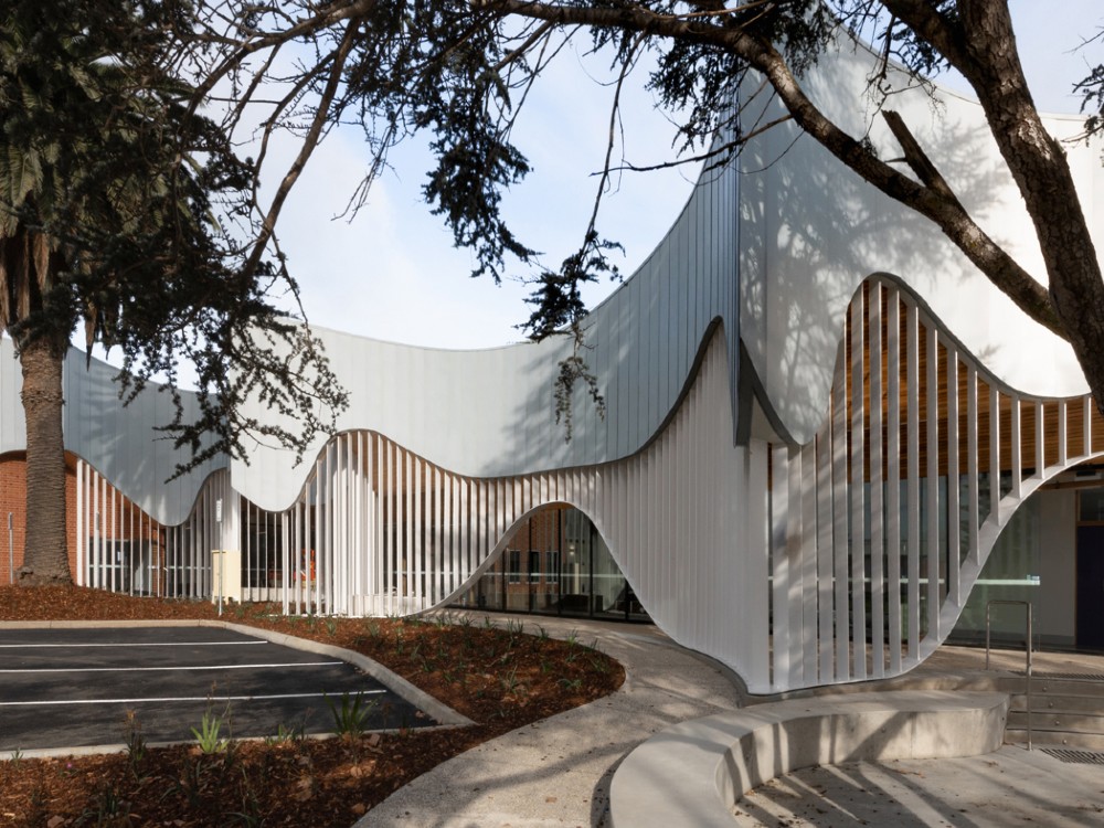 Modern building with flowing white facade and timber slats