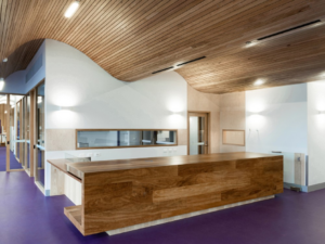 Modern wooden reception desk with curved timber ceiling